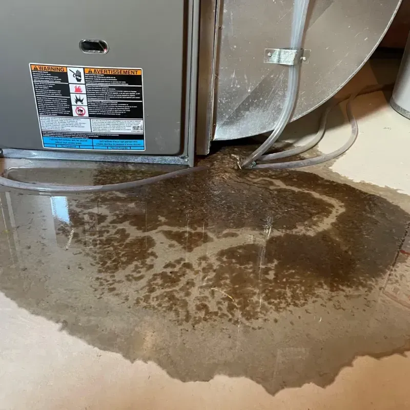 Appliance Leak Cleanup in North Puyallup, WA